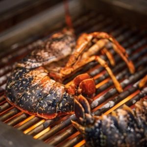 smoking-lobster smoking-lobster